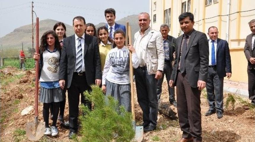 Kaymakam S&uuml;nd&uuml;k Kız &Ouml;ğrencilerle Birlikte Fidan Dikti