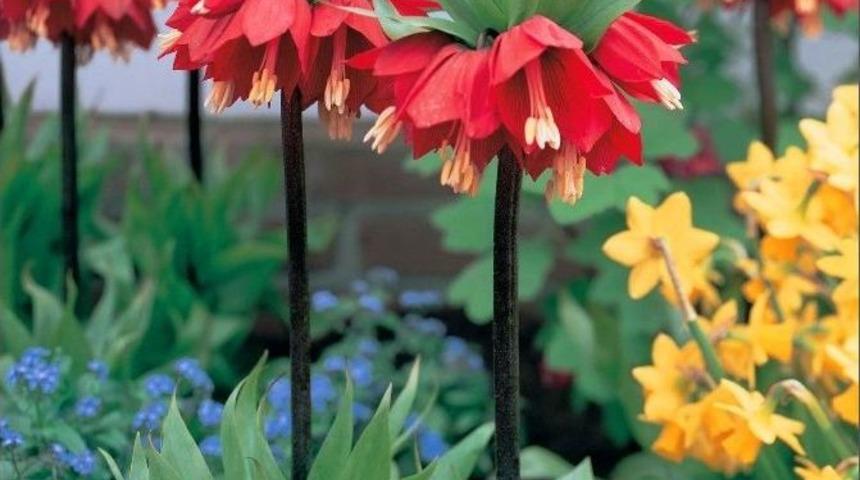 &Uuml;nl&uuml; Sanat&ccedil;ı Yalın, Denizlili Hayranları İle Buluşacak