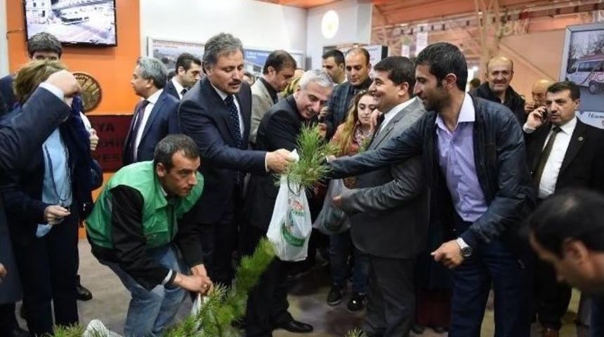 Hedef, 5 Yılda 1 Milyon Fidan