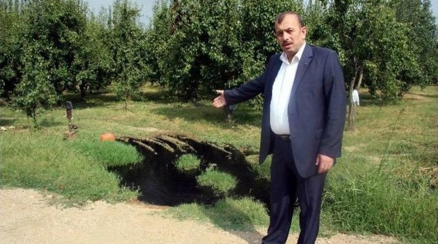 Bursa&rsquo;da Don Korkusu