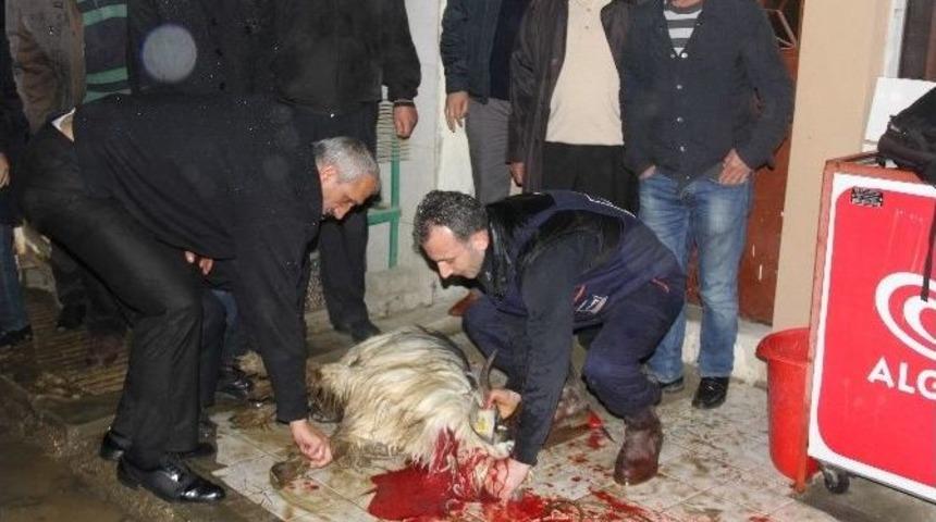 Fenerbah&ccedil;e Otob&uuml;s&uuml;ne Yapılan Saldırıda Yaralanan Şof&ouml;r Rize&rsquo;deki Evine Geldi