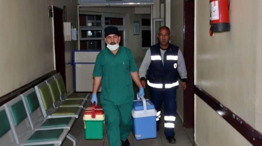 Beyin &Ouml;l&uuml;m&uuml; Ger&ccedil;ekleşen &Ccedil;ift&ccedil;inin Organları 3 Hastaya Naklediliyor