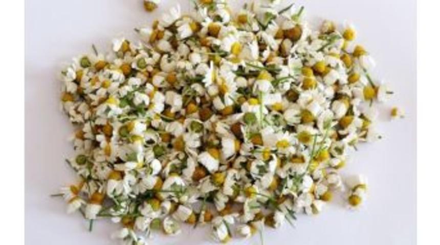 Mevsimsel Alerjisi Olanlara Mayıs Papatyası