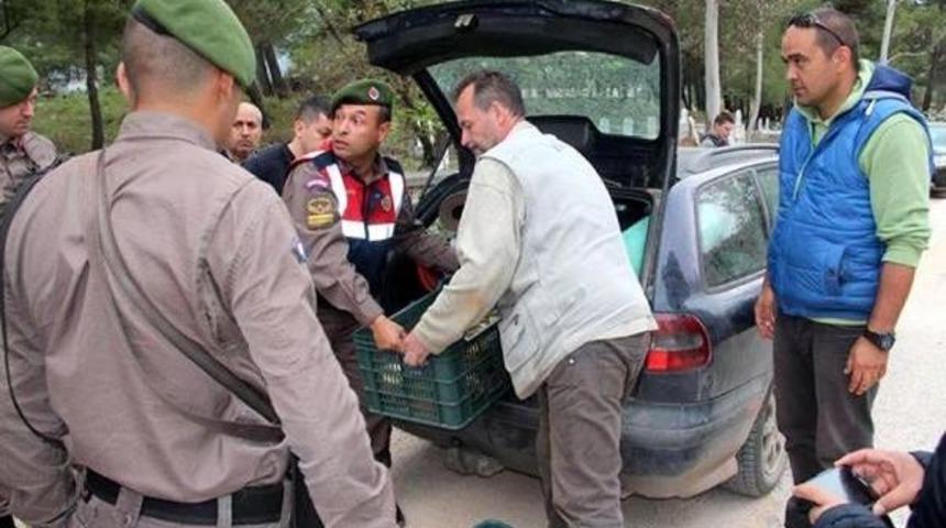Endemik Bitki Toplayan Macar Profes&ouml;r Ve 2 Araştırmacı Yakalandı