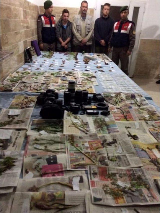 Endemik Bitki Toplayan Macar Profes&ouml;r Ve 2 Araştırmacı Yakalandı 3