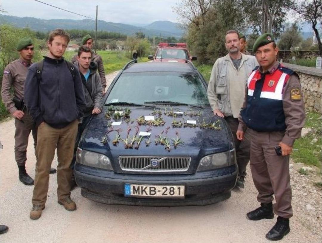 Antalya&rsquo;da Macar Uzmanların Bitki Hırsızlığı