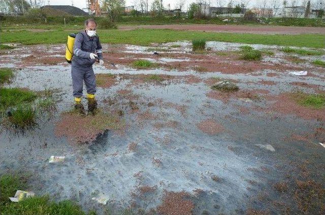 Larva İle Mücadele Tüm Hızıyla Devam Ediyor 1