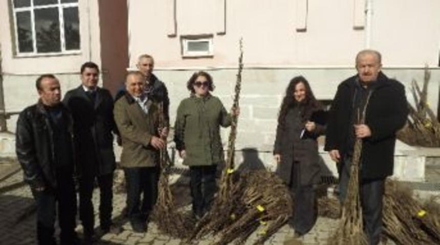 &Ccedil;ift&ccedil;ilere Ceviz Fidanı Dağıtıldı