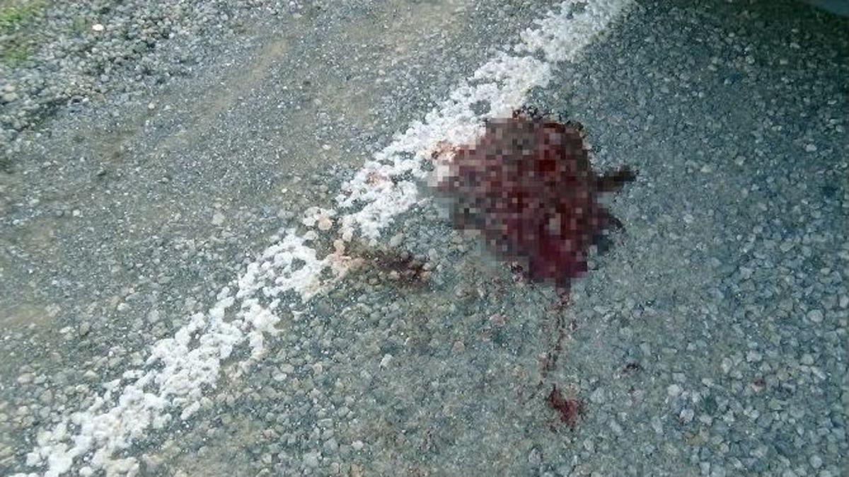 Erzincan&rsquo;da Trafik Kazası: 3 Yaralı