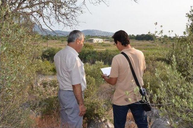 Jeotermal Alan Dalaman Belediyesine Tahsis Edildi 1