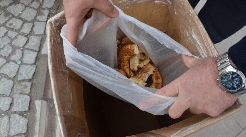 Bayat Ekmekler Bu Kutuya