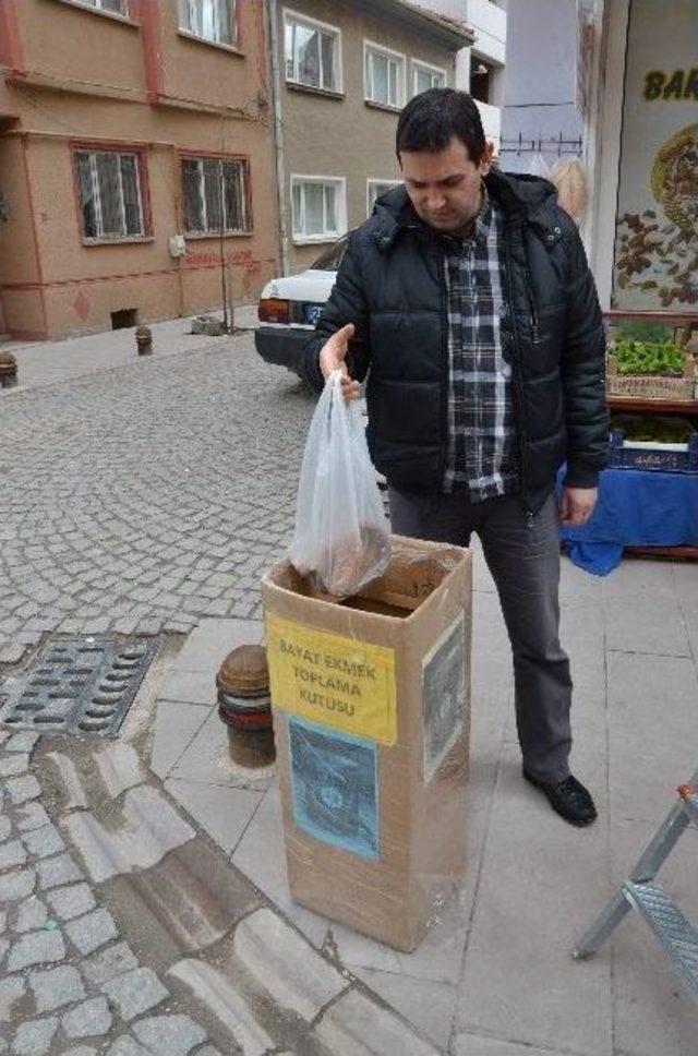 Bayat Ekmekler Bu Kutuya