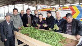 Şiddetli Soğuklar Bakla Ve Bezelye Verimini Düşürdü