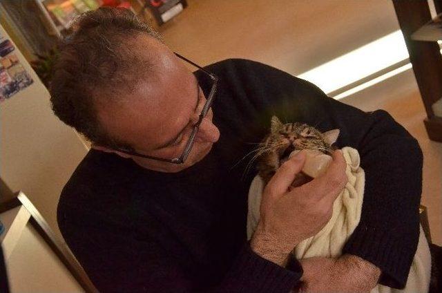 (&ouml;zel Haber) Hayvan Sevgisinin B&ouml;ylesi 2