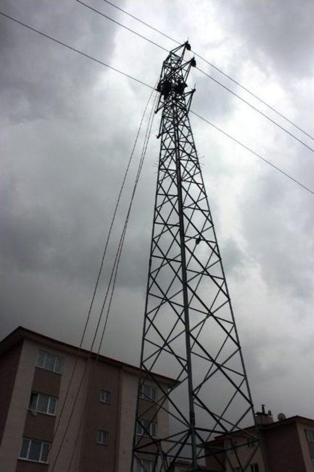 Hırsızlar Mahalleleri Elektriksiz Bıraktı 3