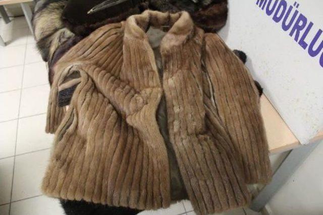 Kapıkule&rsquo;De K&uuml;rk Manto Ele Ge&ccedil;irildi 2