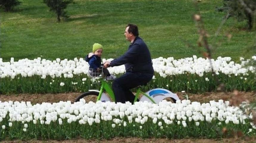 Akıllı Bisikletler, Sekapark&rsquo;ta &Ccedil;ok Sevildi