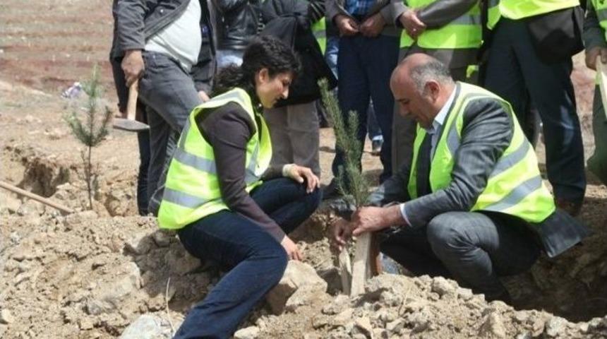 &Ouml;zalp&rsquo;ta Fidan Dikmi