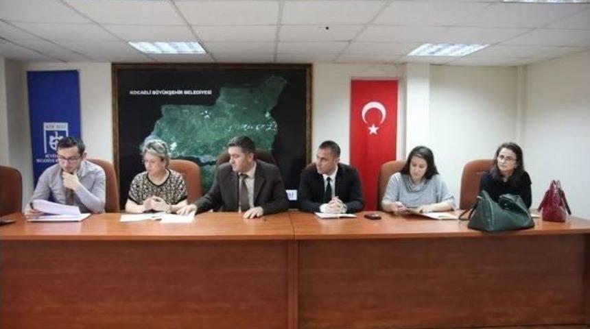 Yeni Kamelyalar Alınacak