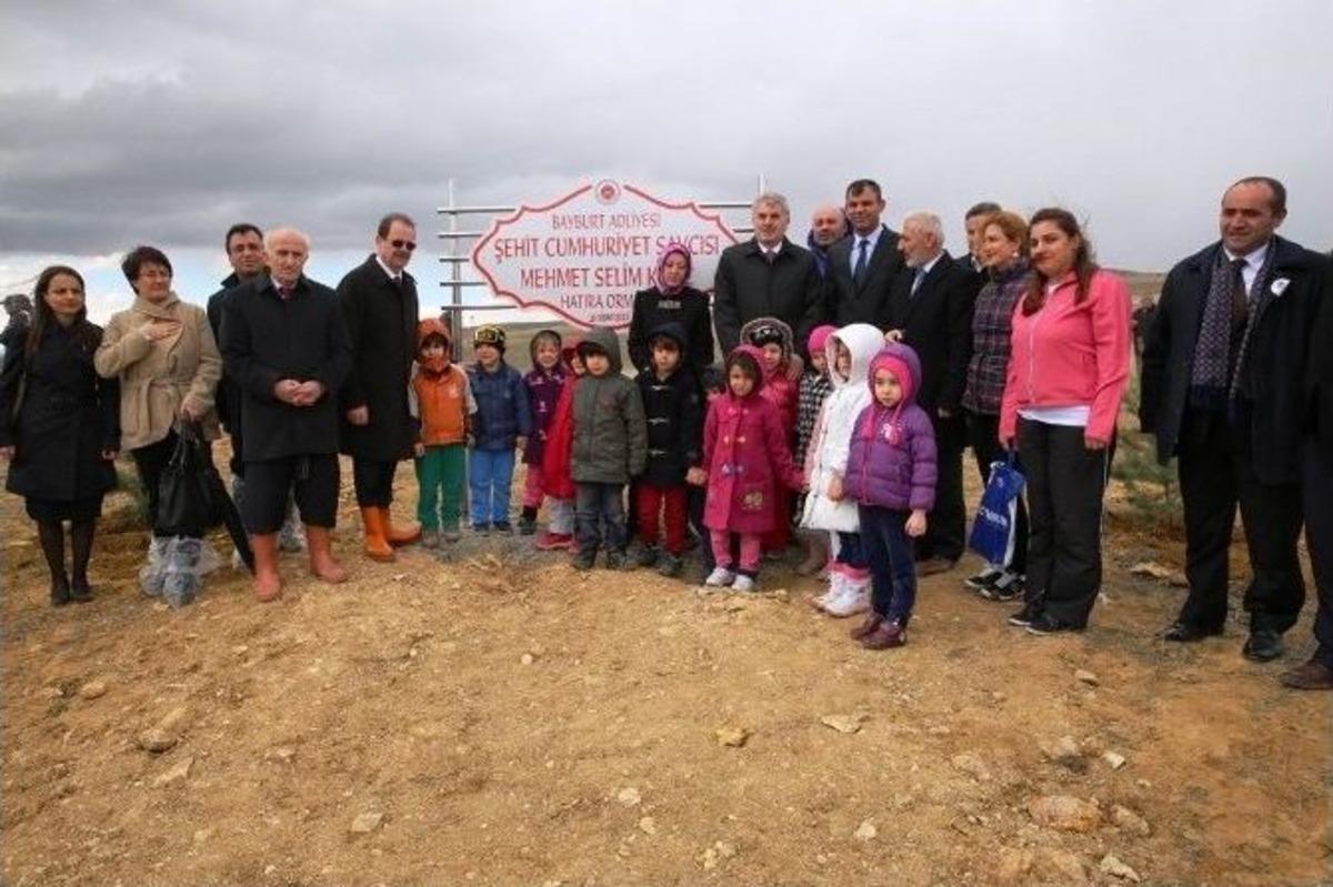 Bayburt&rsquo;ta Şehit Savcı Mehmet Selim Kiraz Hatıra Ormanı Oluşturuldu