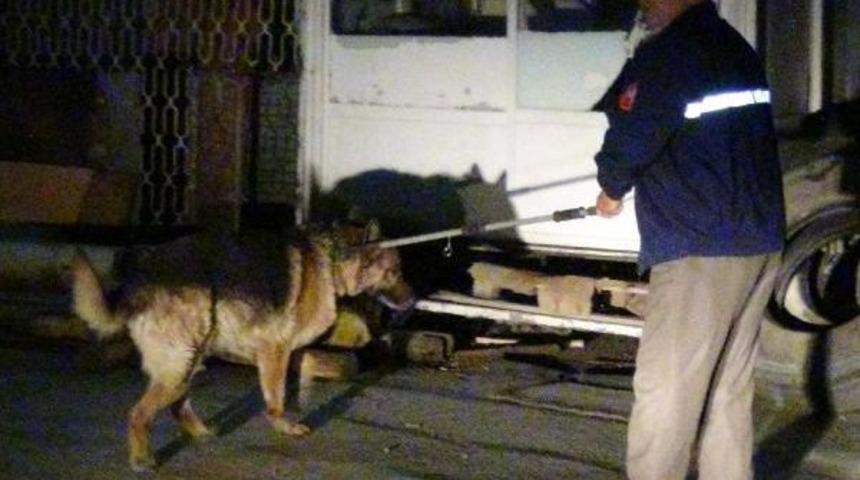 K&ouml;pek Saldırınca Işyerinde Mahsur Kaldı