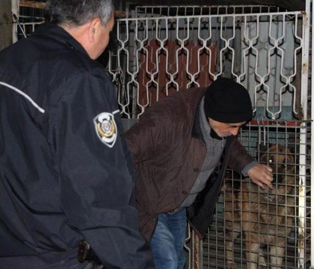 K&ouml;pek Saldırınca Işyerinde Mahsur Kaldı 1