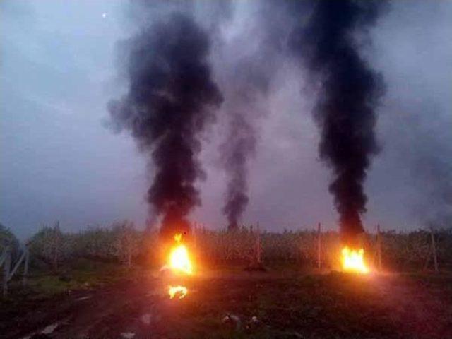 Dona Karşı Meyva Bahçelerinde Saman Ve Lastik Yakılarak Önlem Alındı