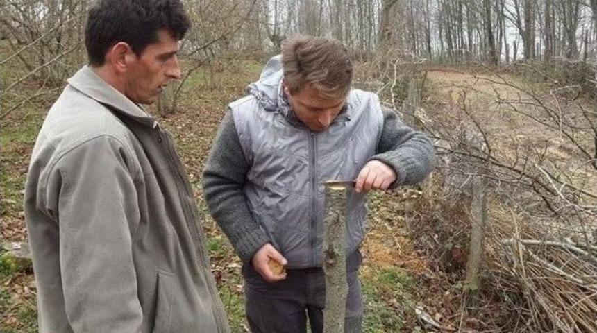 D&uuml;zce&rsquo;de Aşı Teknikleri Uygulamalı Olarak Anlatıldı