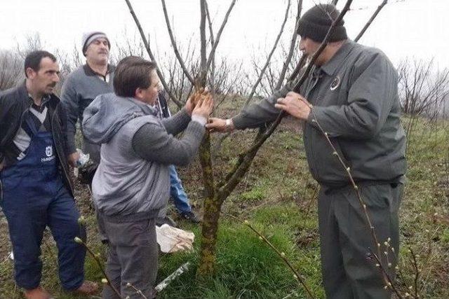 Düzce’de Aşı Teknikleri Uygulamalı Olarak Anlatıldı