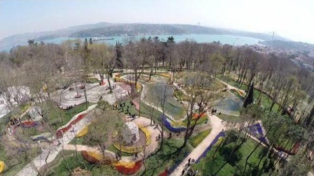 İstanbul Parklarına 8,5 Milyon Lale Dikildi