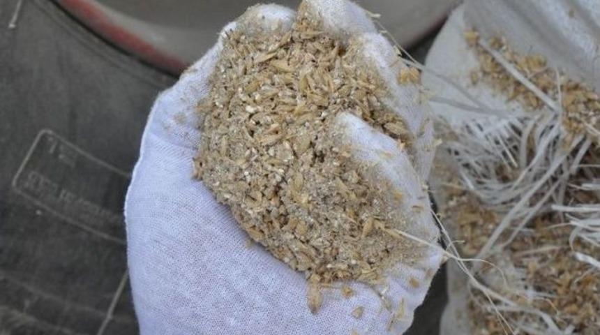 Arpa Y&uuml;kl&uuml; Olması Gereken Tır&rsquo;lardan Hububat Kırıntısı &Ccedil;ıktı