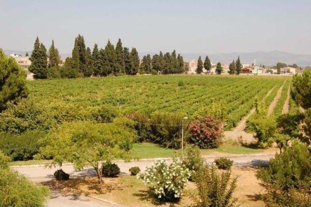 Okul &Uuml;z&uuml;m&uuml; Gelecek Eğitim Yılına Kaldı 1