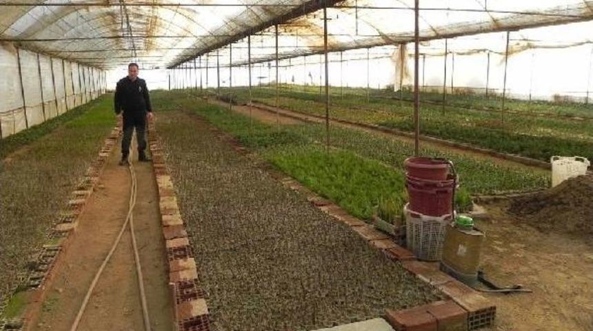 Cezaevi Değil, Eğitim Yuvası