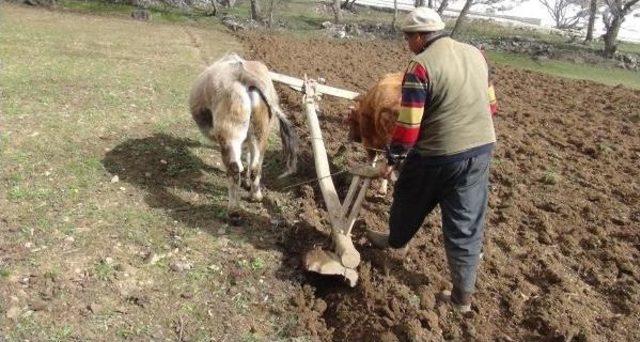 Bahçesaray'da Karasabanlı Tarım