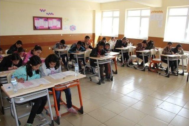 Başkale’de Kutlu Doğum Haftası Etkinliği