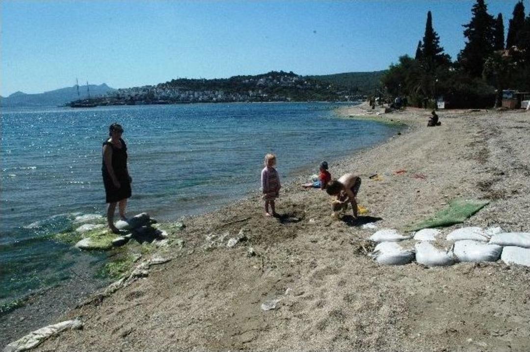Bodrum&rsquo;da G&uuml;neşi G&ouml;ren Denize Koştu