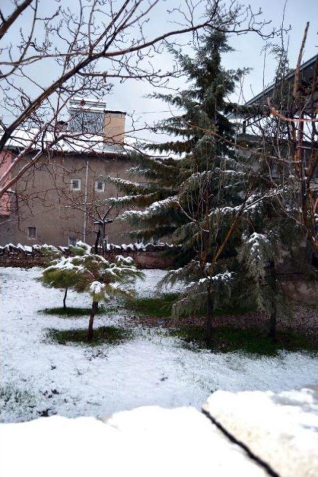 Hakkari Ve Bitlis Ahlat ta Nisan Karı 3