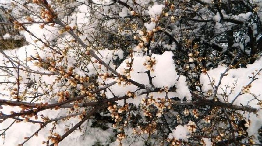 Posof&rsquo;ta Kar Yağışı Etkili Oldu