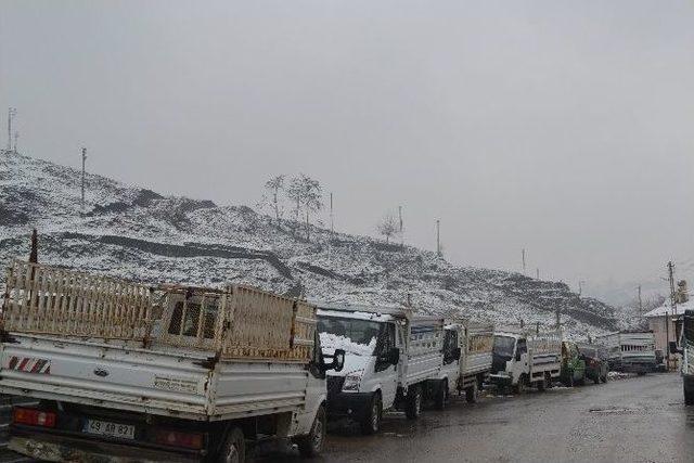 Muş’ta Kar Yağışı 1
