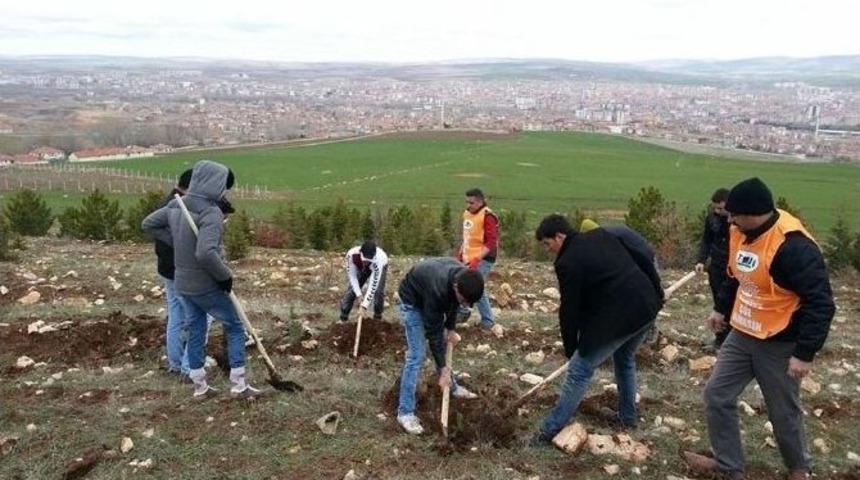 Sorgun Tema Vakfı 500 Fidan Dikti