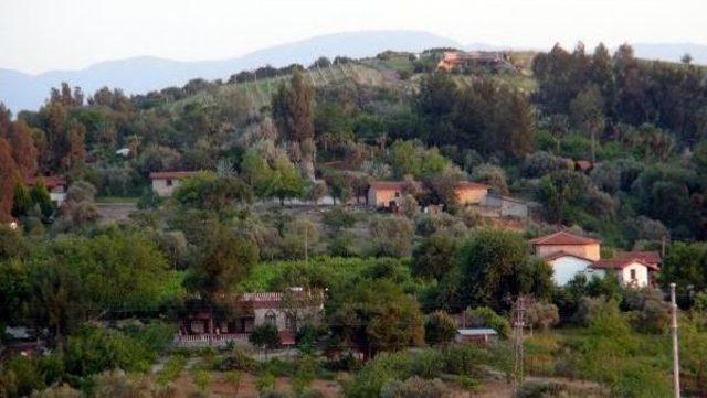 Çiller'in Çiftliğinden Hırsızlık Yapanlara Ceza Yağdı