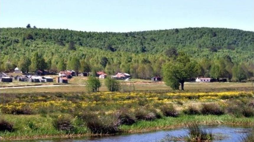 Yalova&rsquo;da Tanıtım Hamlesi