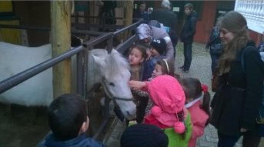 Miniklerin At Sevgisi