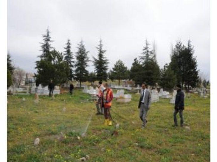 Kırşehir Belediyesi Mezarlıklarda İlaçlama Ve Temizlik Çalışması Yaptı