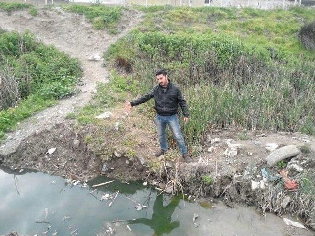 Yenik&ouml;y Durağı &Ccedil;alışanları Ağır Kokudan Şikayet&ccedil;i 2