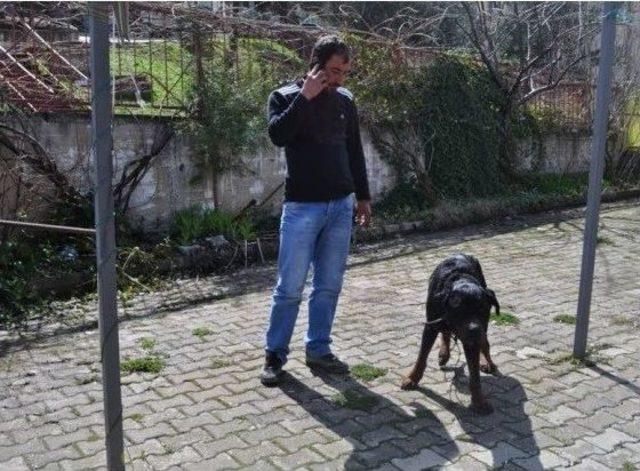 Kuduz Köpek Şüphesi Tüm Birimleri Seferber Etti