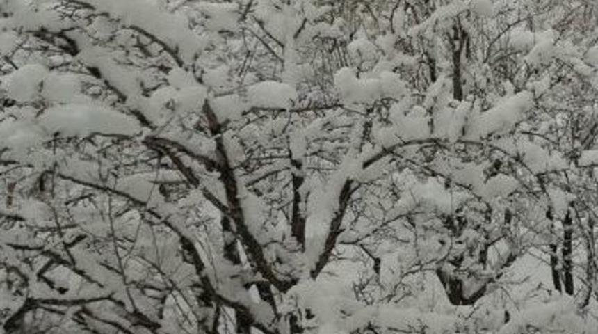 Kar Yağışı Sonrası Kartpostallık Manzaralar