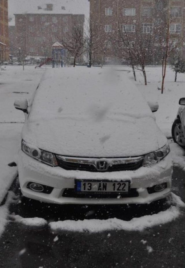 Bitlis’Te Nisan Karı Etkili Oluyor