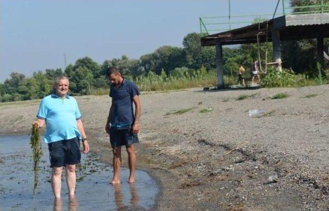 Sapanca Gölü'nde Manzara Tersine Döndü