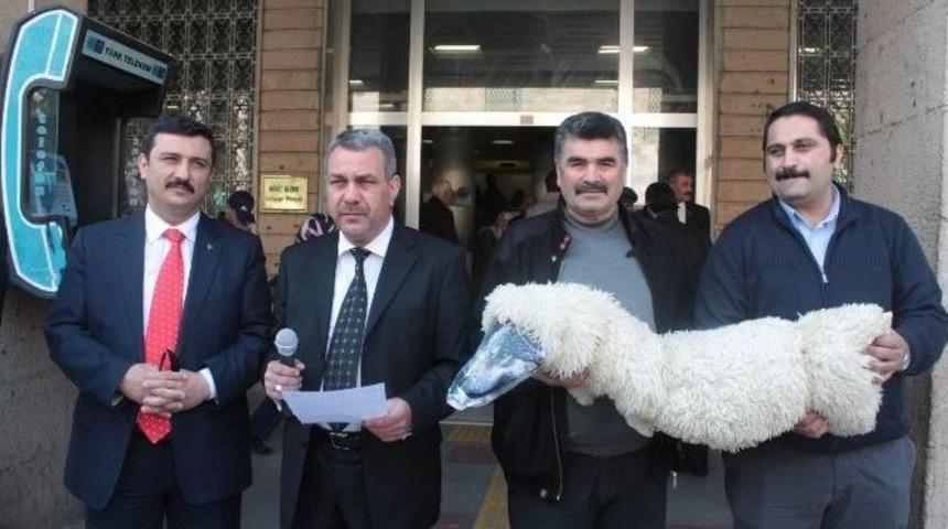 Postacılardan Kuzu Postuna B&uuml;r&uuml;nm&uuml;ş Kurtla Protesto